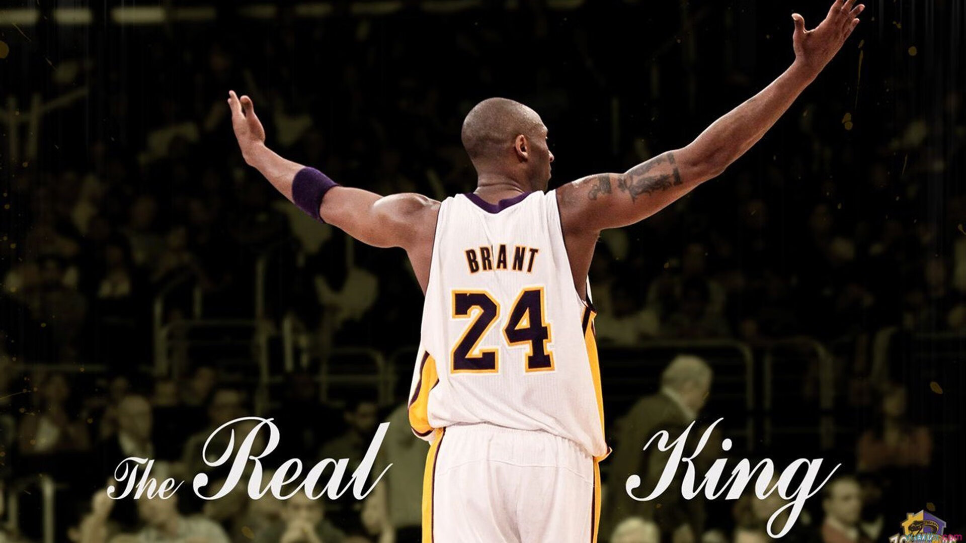 球迷狂欢:现场气氛最高的五大战役推荐,主场气氛最好的球队