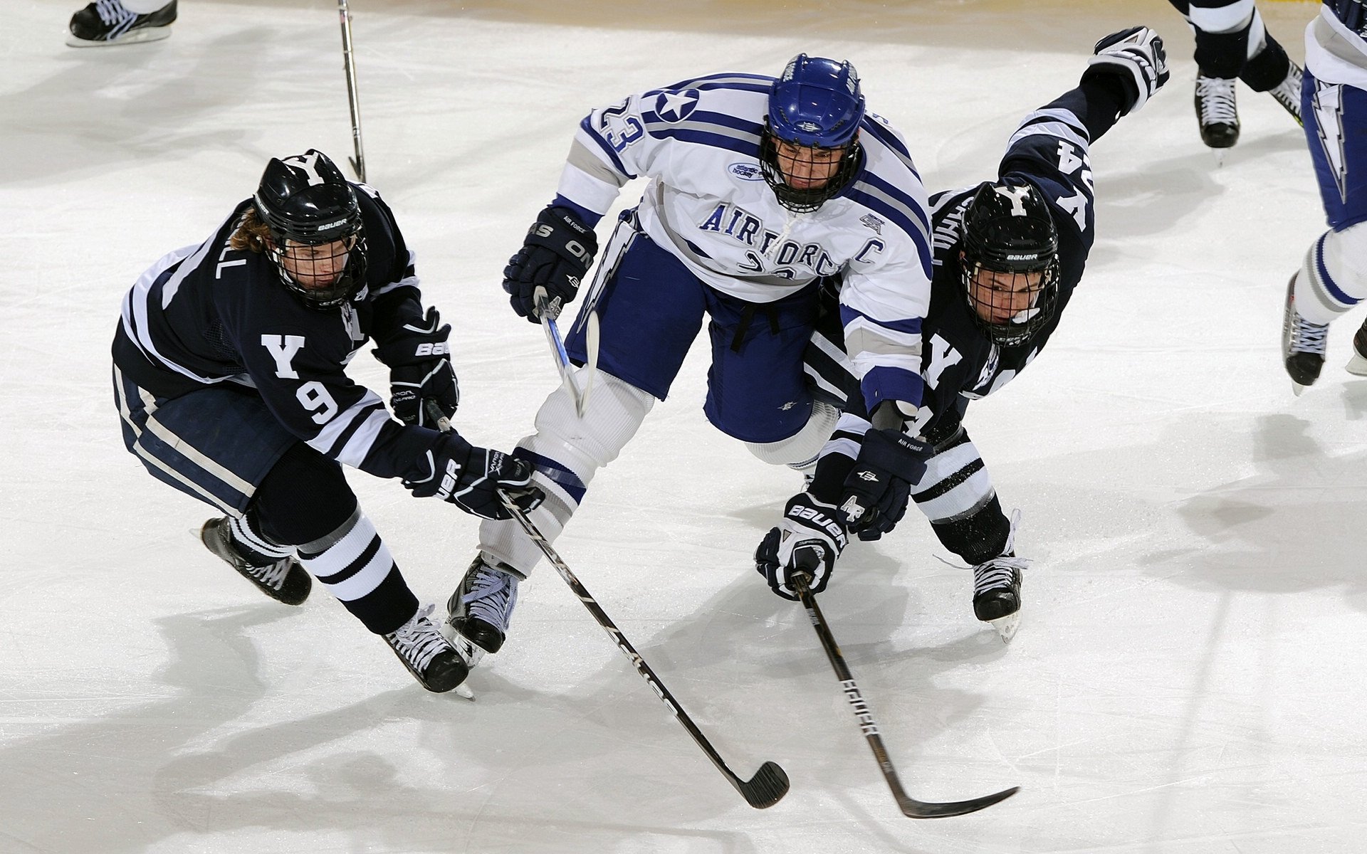 突尼斯国家队教练团队调整，突尼斯球星